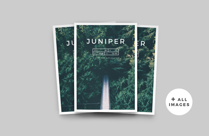 Juniper magazine and portfolio template for Adobe InDesign.