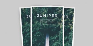 Juniper magazine and portfolio template for Adobe InDesign.