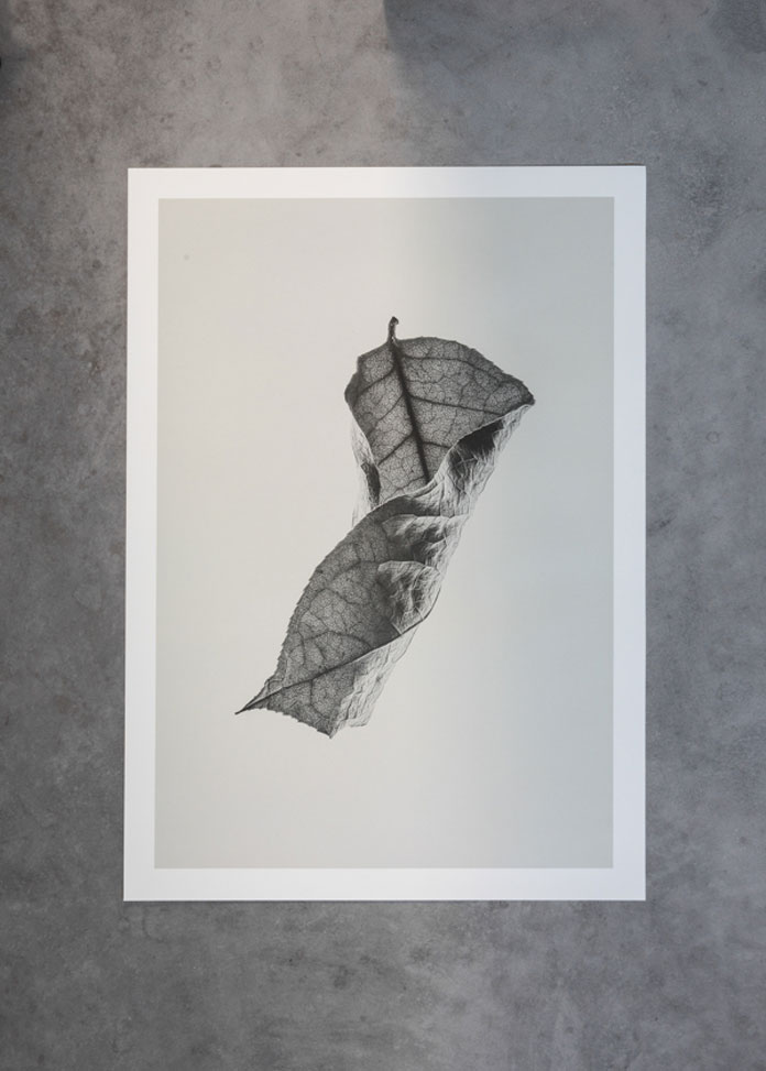 Combining soft grey tones and graphic presentation with detailed photography.