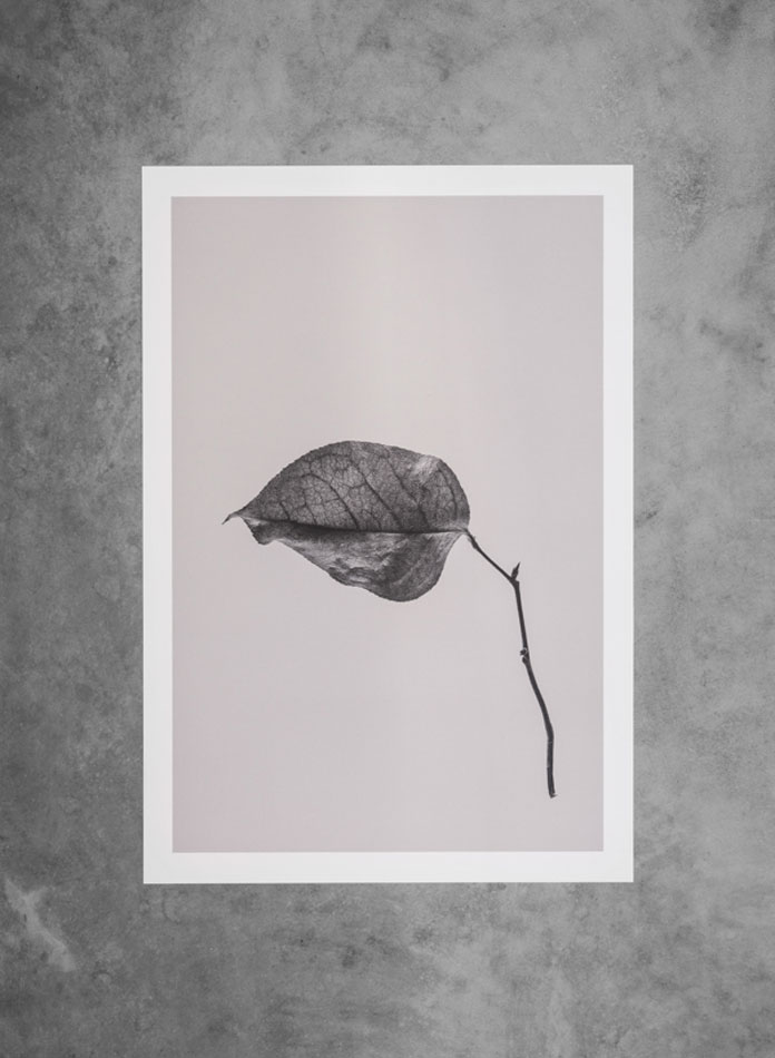 Sabi Leaves fine art prints by Norm Architects and Paper Collective.