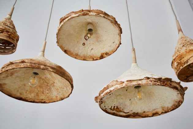 Mushroom Mycelium Interior Design by Sebastian Cox and Ninela Ivanova