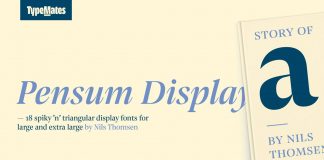 Pensum Display font family from TypeMates.