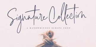Signature Script Font Collection.