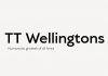 TT Wellingtons font family from TypeType