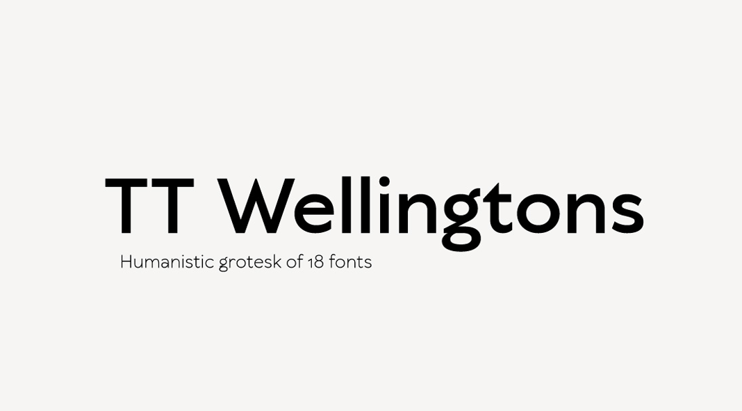 TT Wellingtons font family from TypeType
