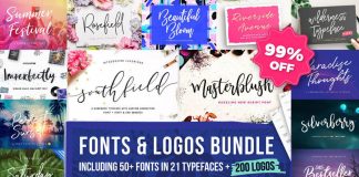 Over 50 fonts and more than 200 logos for only $9!