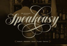 Speakeasy font combo by Alejandro Paul of Sudtipos.