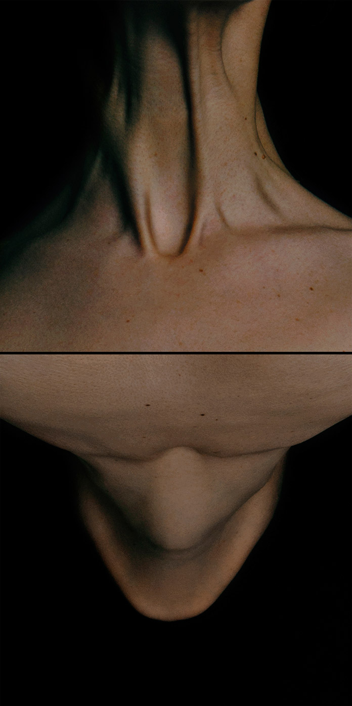 Tendons and skin captured by Laura Berson.
