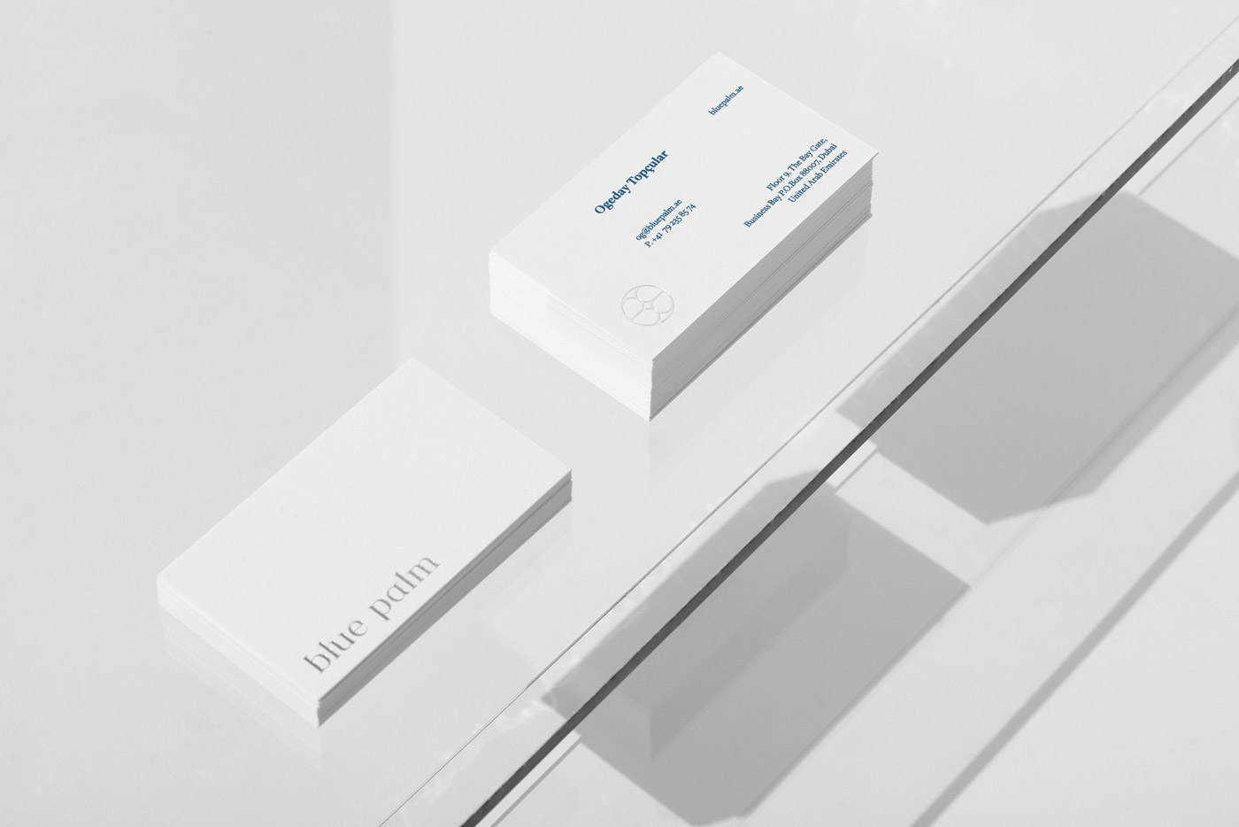 Graphic design and branding by Sabbath Studio for financial company Blue Palm.