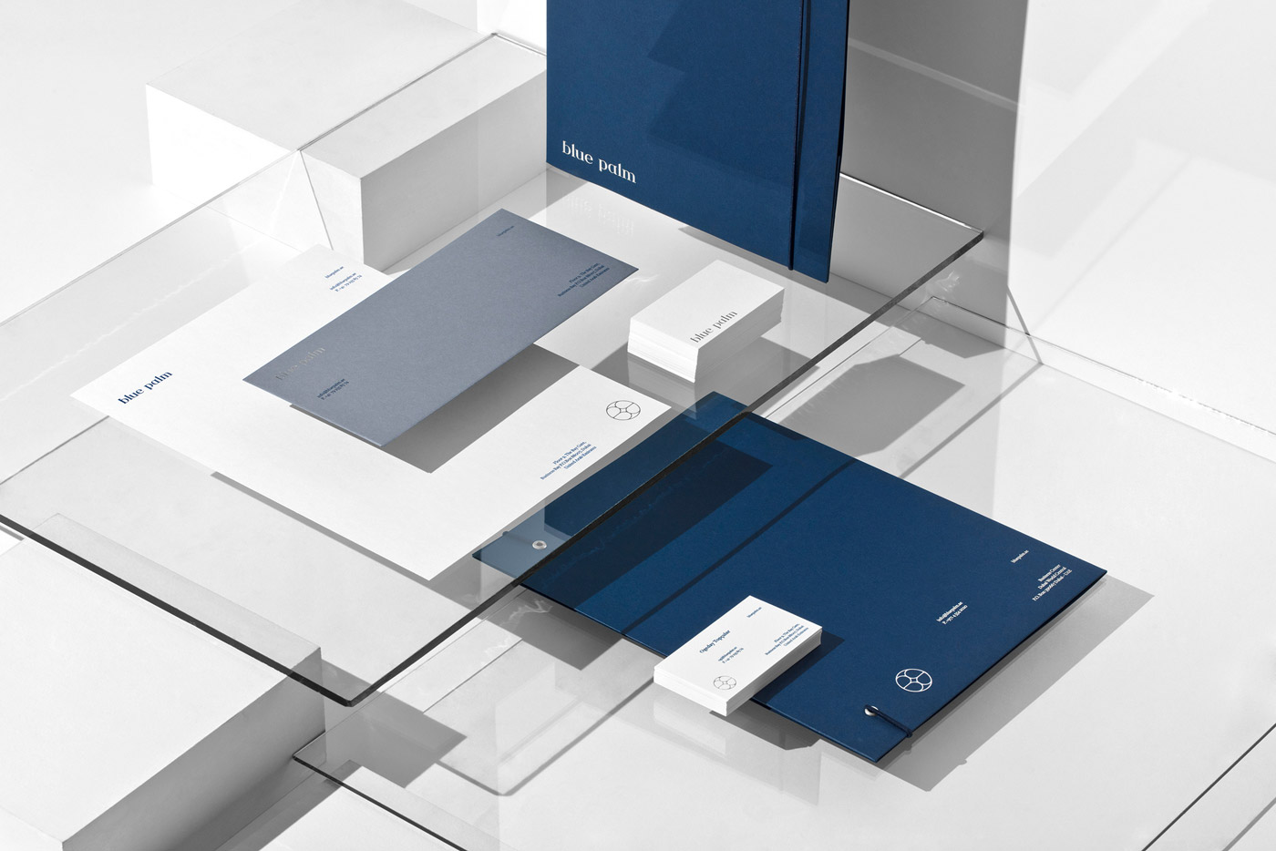 Graphic design and branding by Sabbath Studio for financial company Blue Palm.