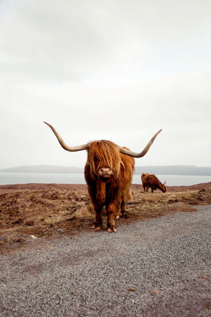 Scotland road trip photography by Mikael Broidioi aka iN Fravez