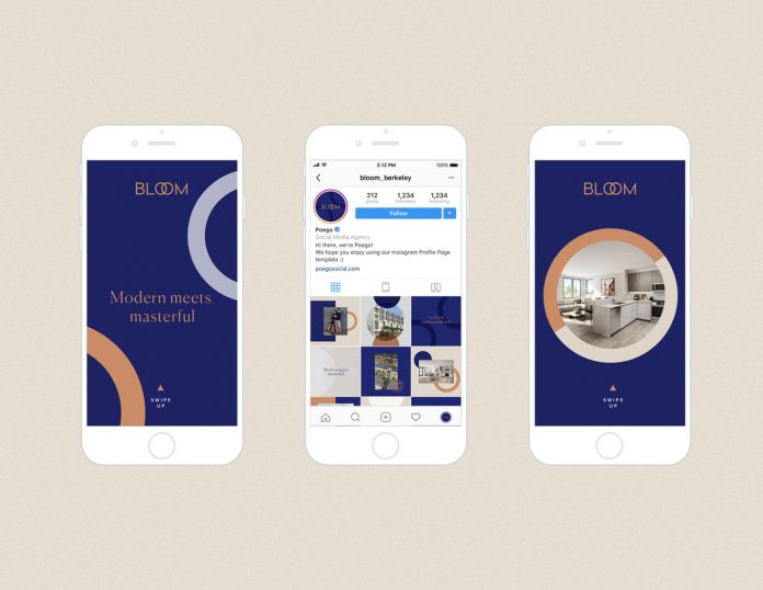 Graphic design and branding by Kati Forner for Bloom Berkeley.
