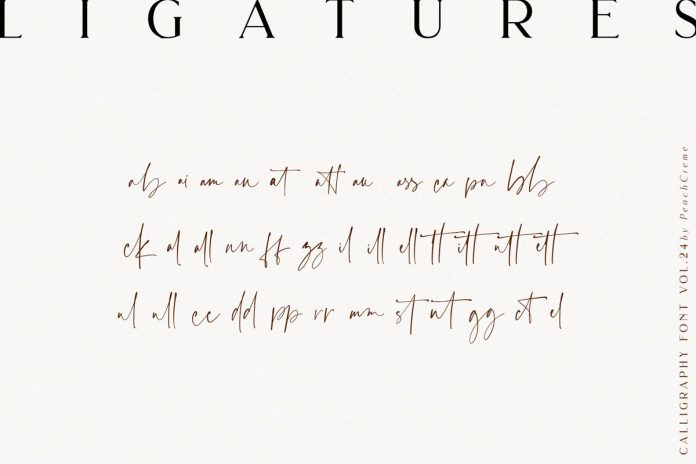 Bellmont calligraphy typeface from studio PeachCreme.