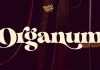 Organum Font Family by Vintage Voyage D.S.
