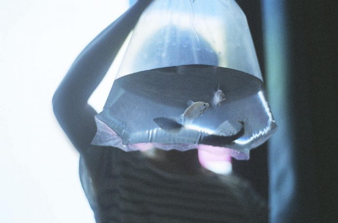 An image from the photographic diary by Li Hui.