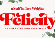 Felicity serif font from Fenotype.