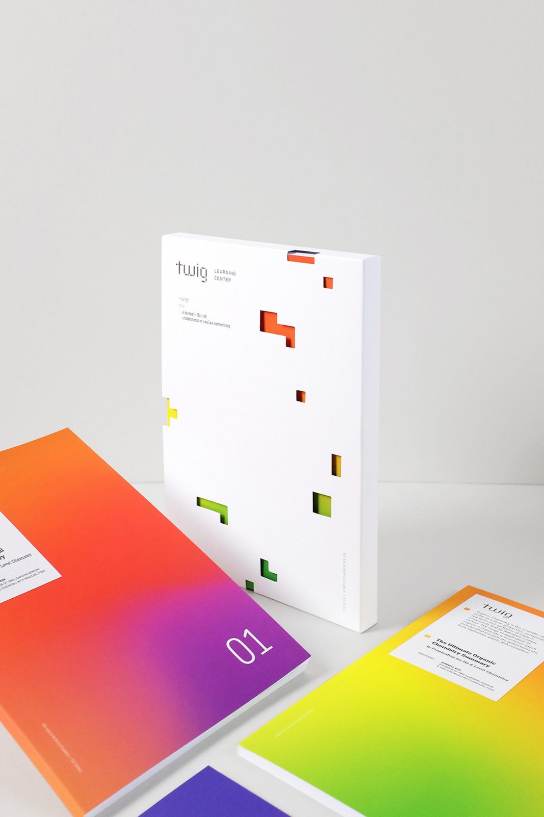 Branding & Graphic Design by Darling Visual Communications for Twig ...
