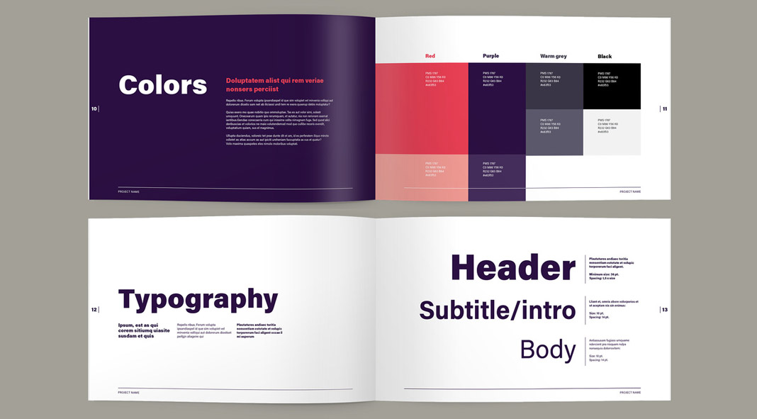 Brand Guide Book Layout for Adobe InDesign