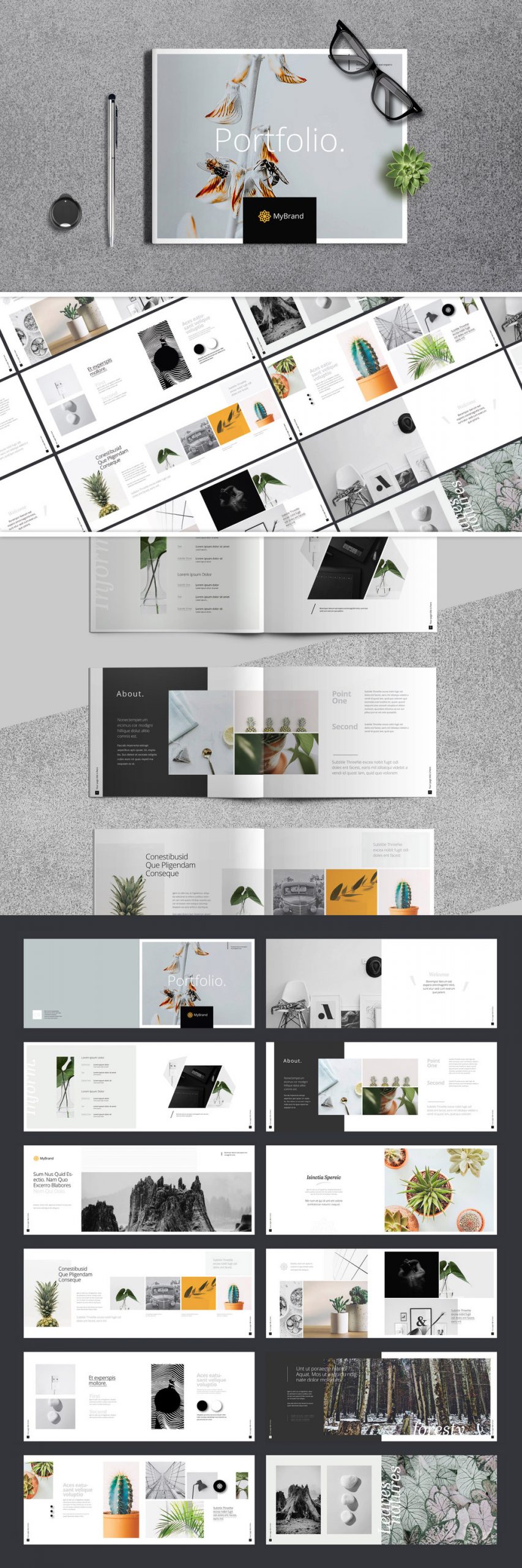 A multi-purpose portfolio brochure template for Adobe InDesign.
