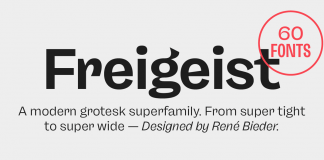 Freigeist font family by German typeface designer René Bieder.