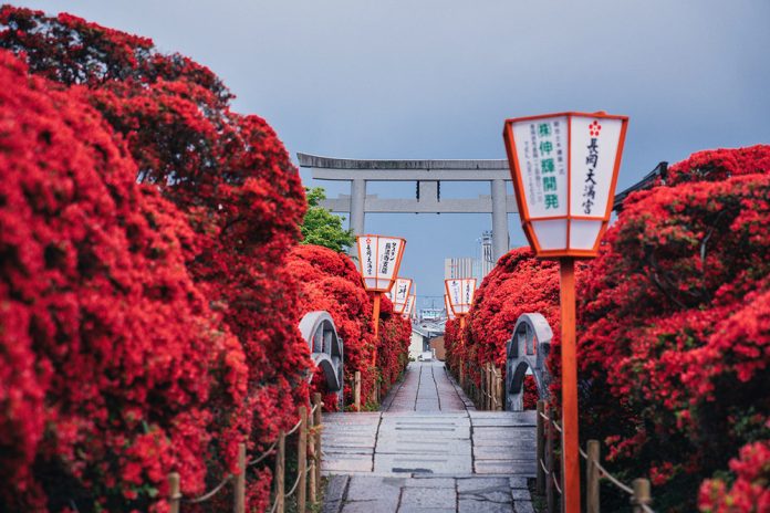 Four Seasons in Kyoto - Photography by Ying Yin