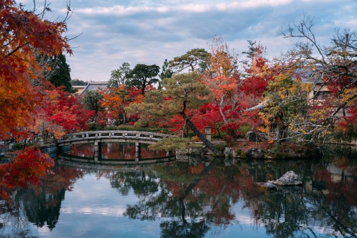 Four Seasons in Kyoto - Photography by Ying Yin