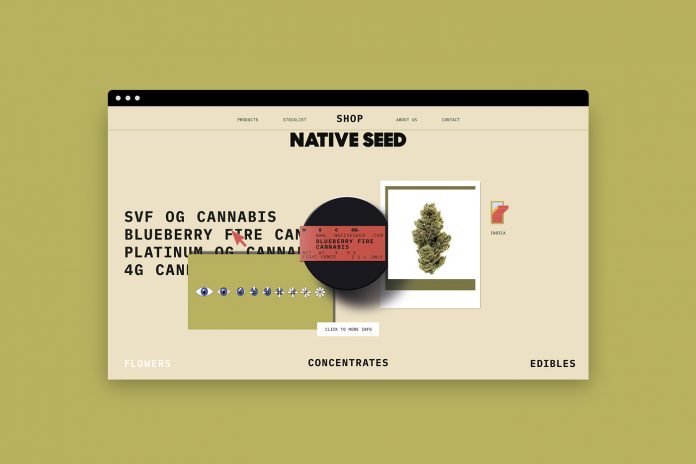 Visual identity design by studio Futura for cannabis brand Native Seed.