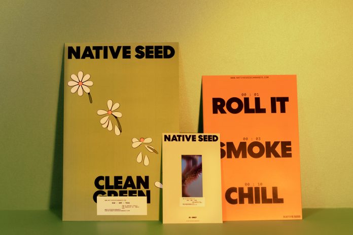 Visual identity design by studio Futura for cannabis brand Native Seed.