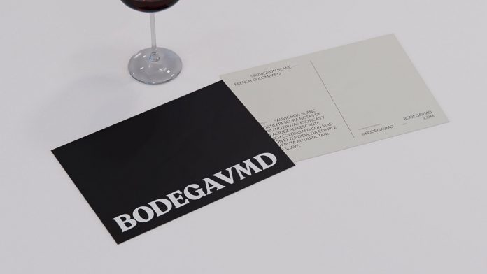 Branding for Bodega VMD by Shift
