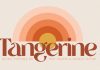 Tangerine Retro Font from New Tropical Design