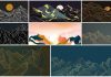 Semi-abstract landscape wallpaper artworks available as fully editable vector illustrations.