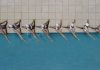 The Beauty of Synchronized Swimming From Above - Aerial Photography by Brad Walls