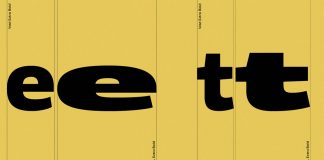 Vast font family by ParaType
