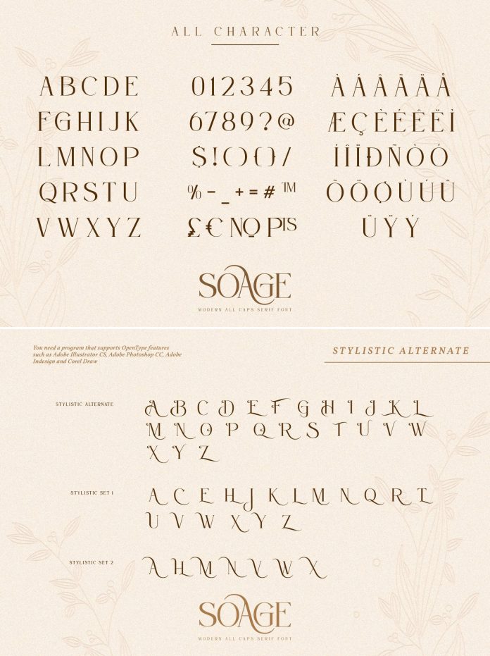 Soage Serif Font by Din Studio