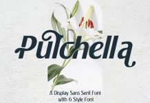 Pulchella Font Family by Mevricks Studio