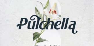 Pulchella Font Family by Mevricks Studio