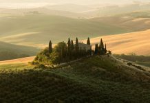 Val d'Orcia II by Tiago & Tania