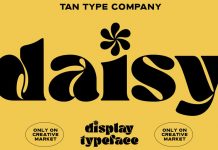 TAN DAISY font by TanType