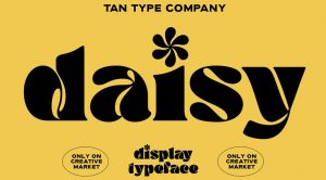 TAN DAISY Font by TanType