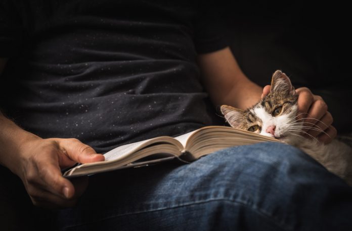 Reading a book on the sofa with a cuddling cat.