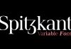 Spitzkant Variable Font by Julien Fincker