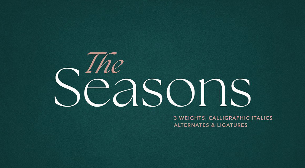 The Seasons Font Family by MyCreativeLand