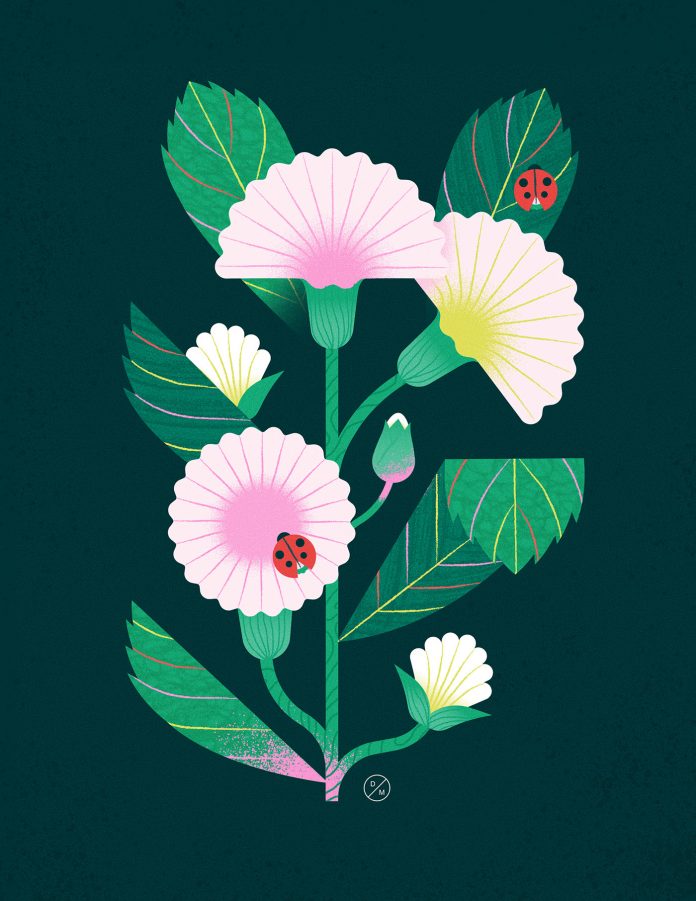 Spring illustrations by Delphine Meier