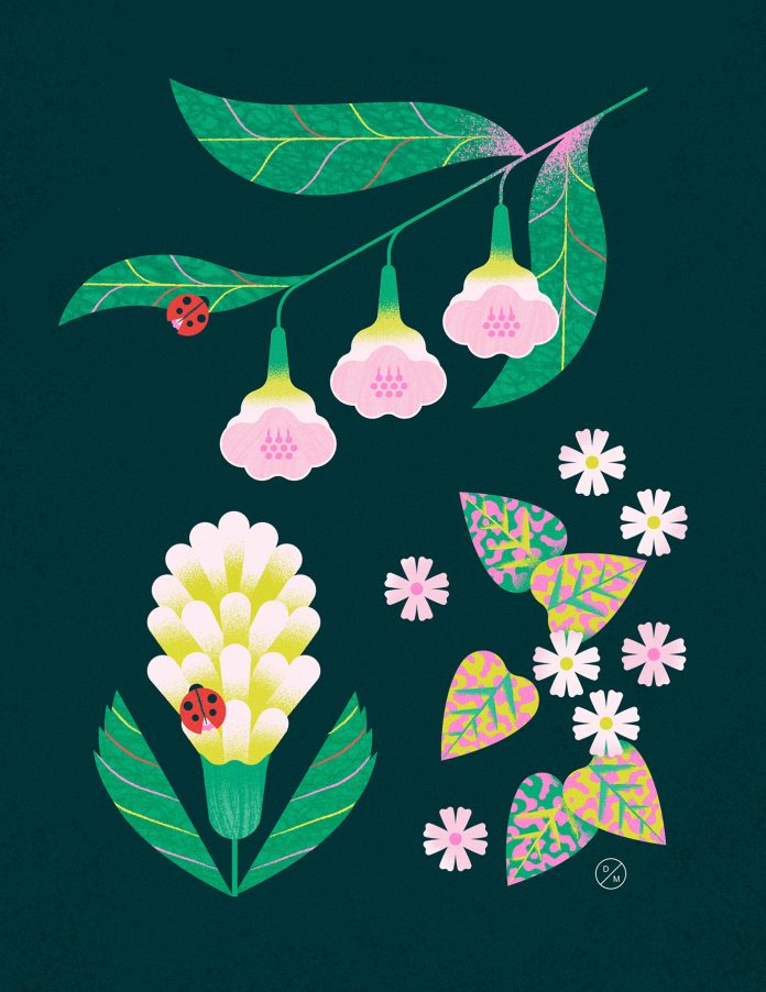 Spring illustrations by Delphine Meier