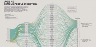 Data Visualization Using Infographics to Transform Information into Art