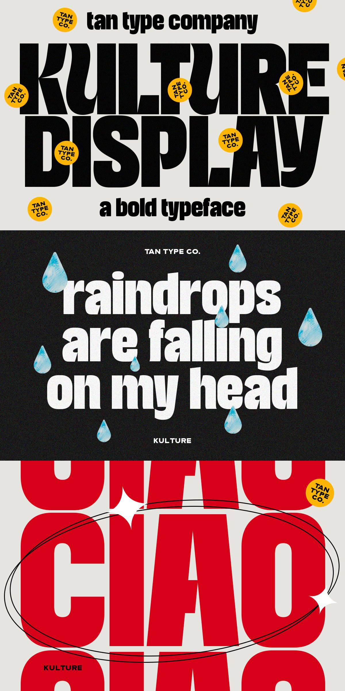 TAN KULTURE Font by TanType