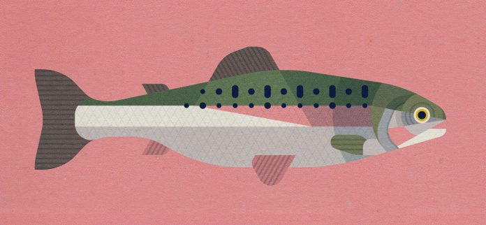 Neptune Fish - fictional branding by Bart De Keyzer