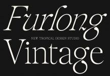 Furlong Vintage Serif Font by New Tropical Design Studio