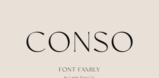 Conso Font Family by Larin Type Co.