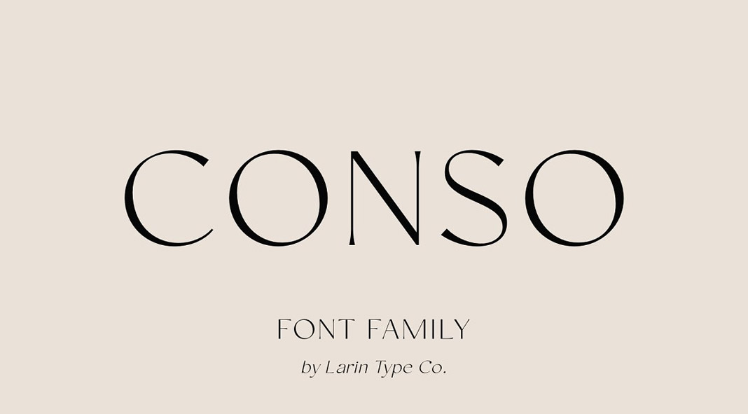 Conso Font Family by Larin Type Co.
